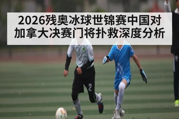 2026残奥冰球世锦赛中国对加拿大决赛门将扑救深度分析